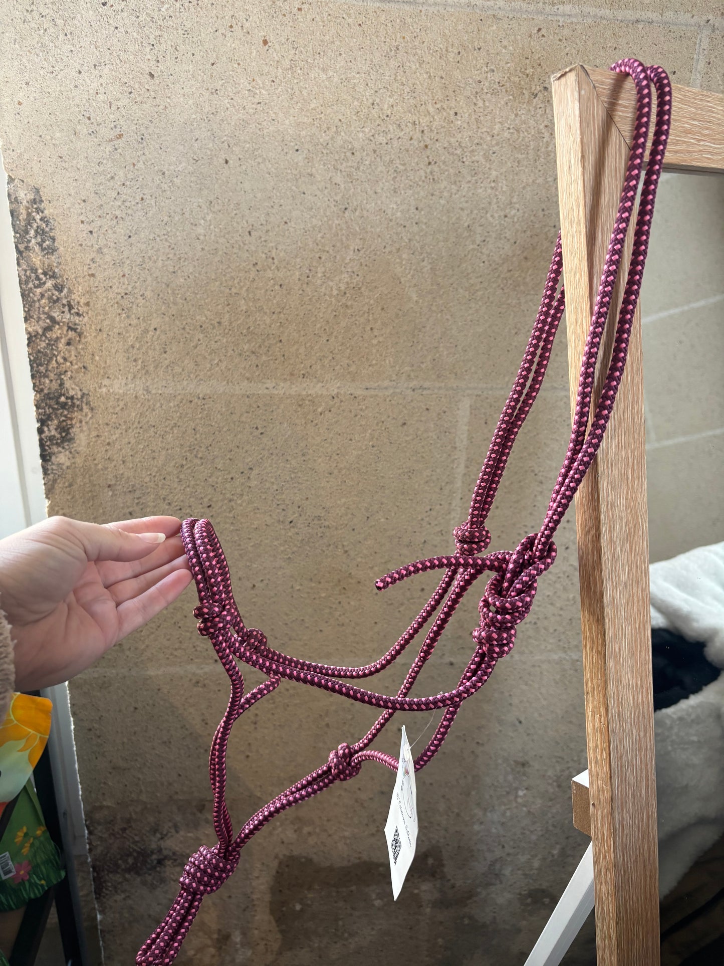 Licol Simple - O'Créations