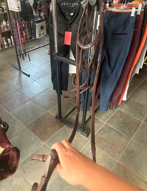 Filet Norton + rênes