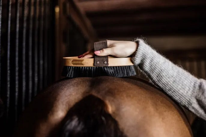 Brosse Douce à Poils Durs - Grooming Deluxe