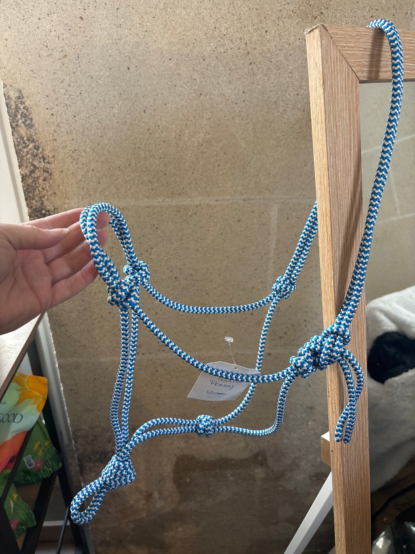 Licol Simple - O'Créations