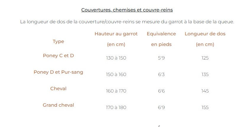 Chemise Séchante - Paddock Sport