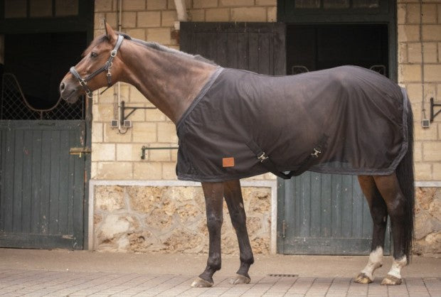 Chemise Mesh - Paddock Sport