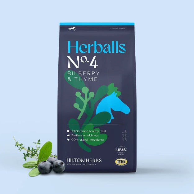 Herballs n*4 Myrtille & Thym - Hilton Herbs