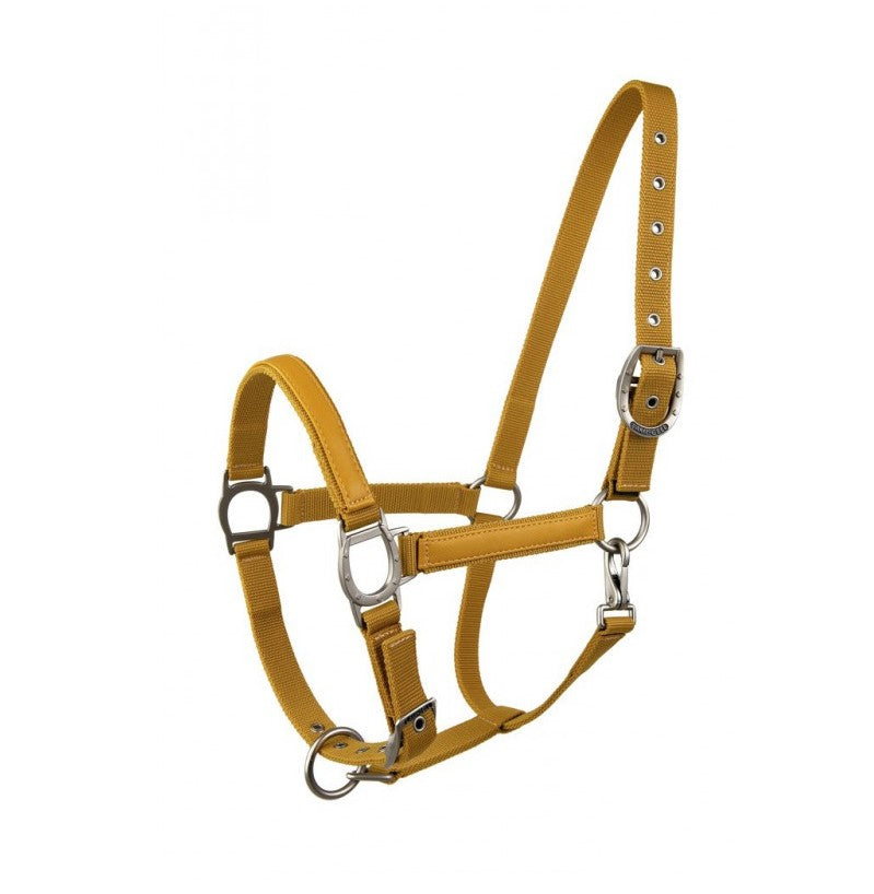 Licol "LC" - Lami-cell