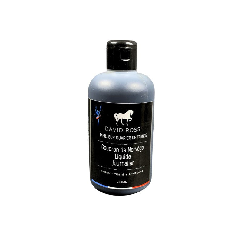Goudron de Norvège - David Rossi