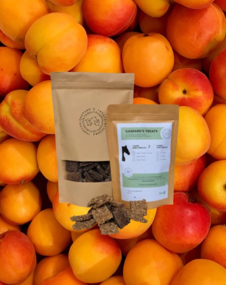 Friandises Lin Et Abricot - Gaspard's treats