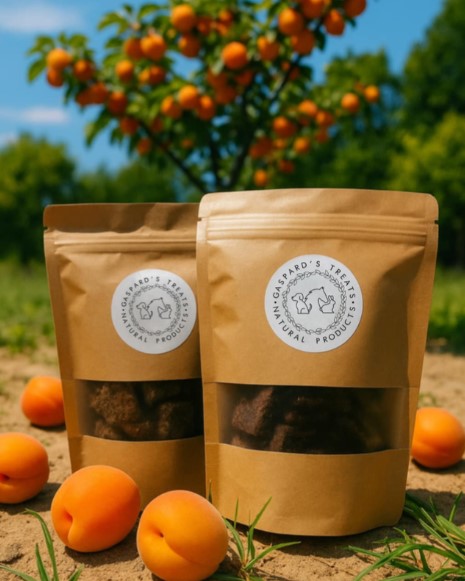 Friandises Orge Et Abricot - Gaspard's treats