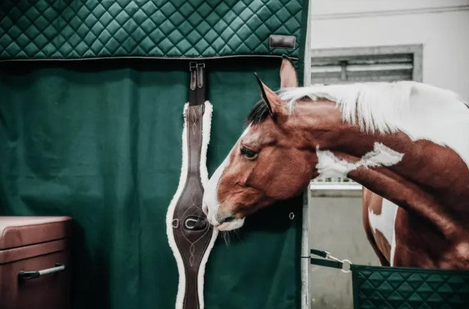 Tenture de Box imperméable - Kentucky