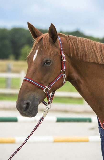 Licol Tricolore Doux - Norton