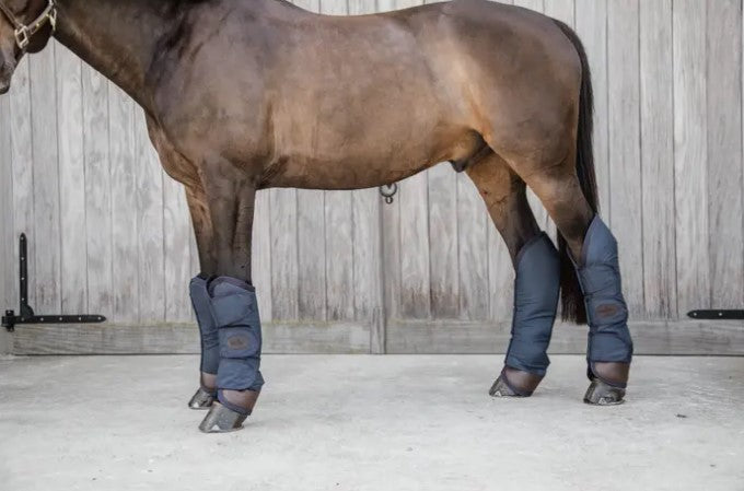 Protection De Transport - Kentucky