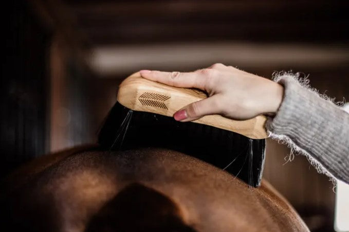 Bouchon à Poils Durs - Grooming Deluxe