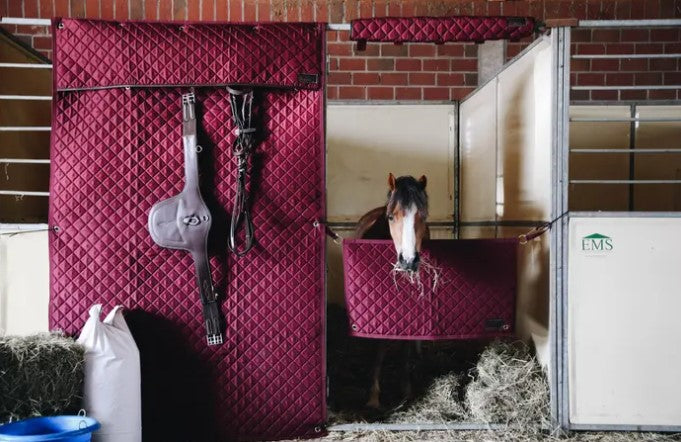 Protection De Tête - Kentucky