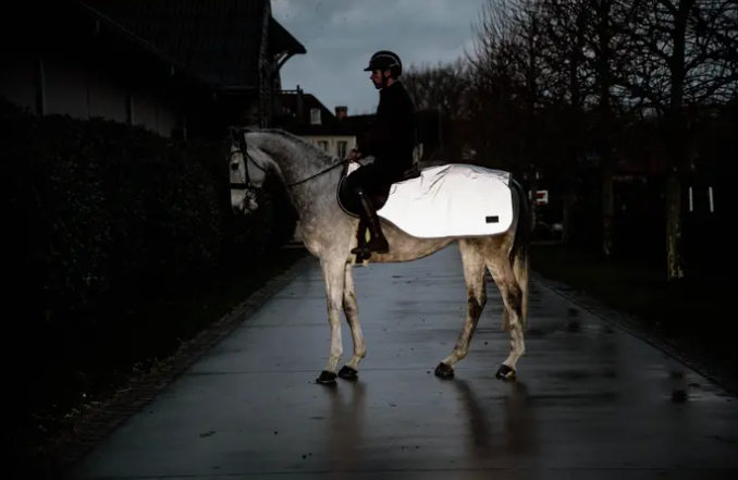 Couvre-Reins Réfléchissant - Kentucky