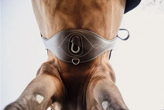 Sangle Anatomique - Kentucky