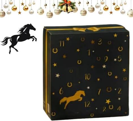 Calendrier 12 cases