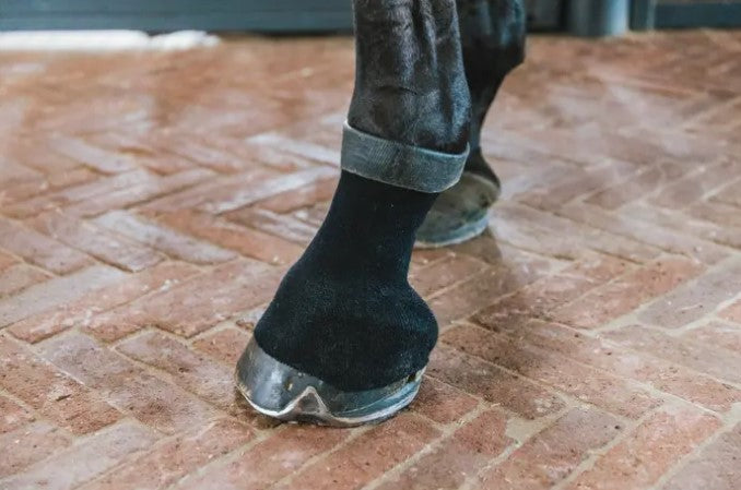 Tendon Grip Chaussettes Gel - Kentucky