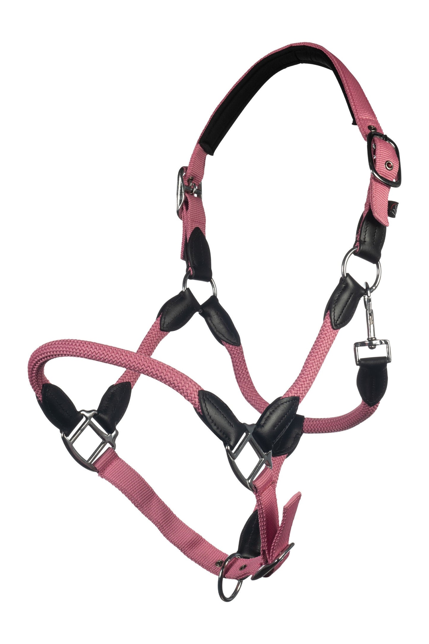 Licol Carlotta - Hkm