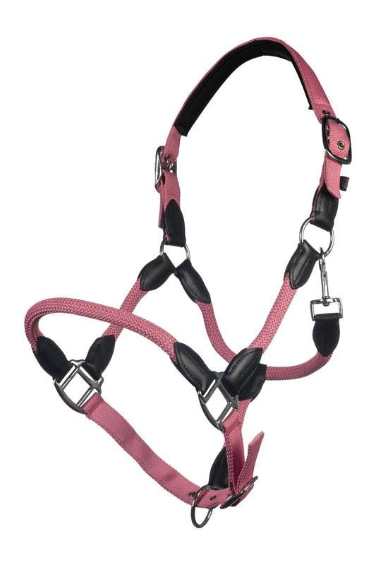 Licol Carlotta - Hkm