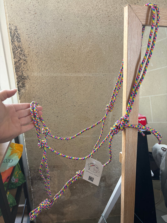 Licol Simple Rainbow - O'Créations