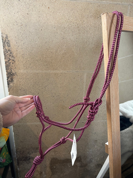 Licol Simple - O'Créations