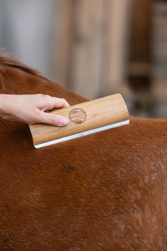 Brosse à Mue - Magic Brush