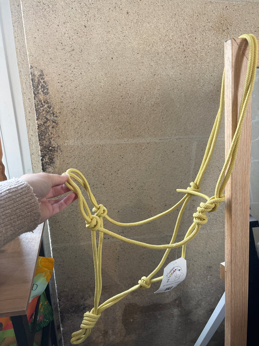 Licol Simple - O'Créations