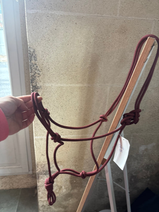 Licol Simple - O'Créations