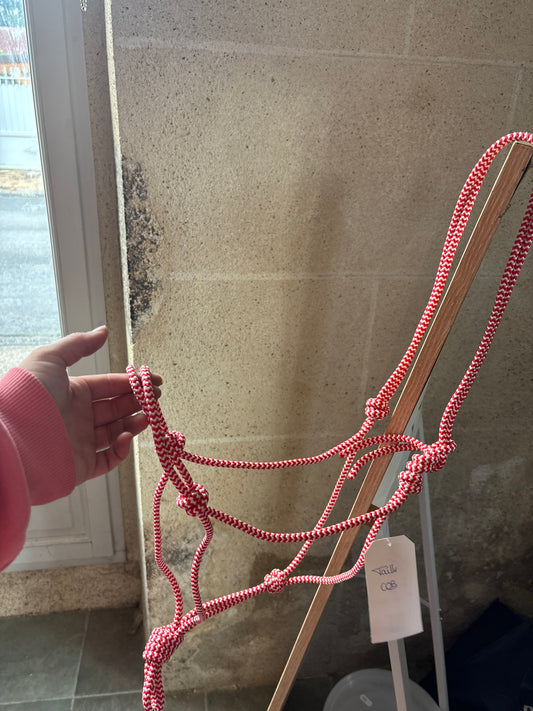 Licol Candy - O'Créations