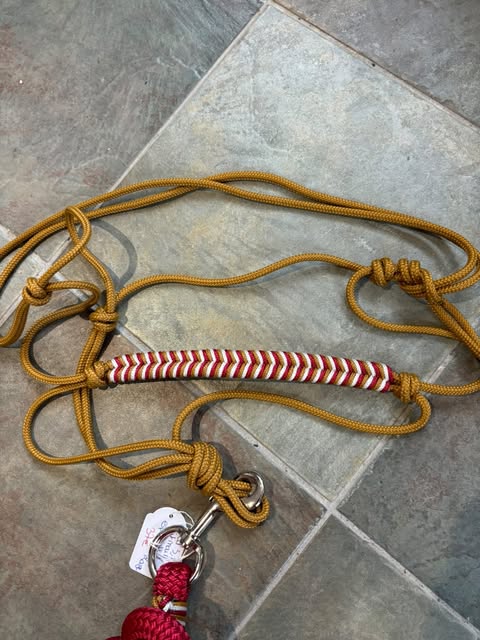 Licol Personnalisé - Esprit Éthologie