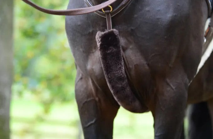 Fourreau de collier de chasse en mouton - Kentucky