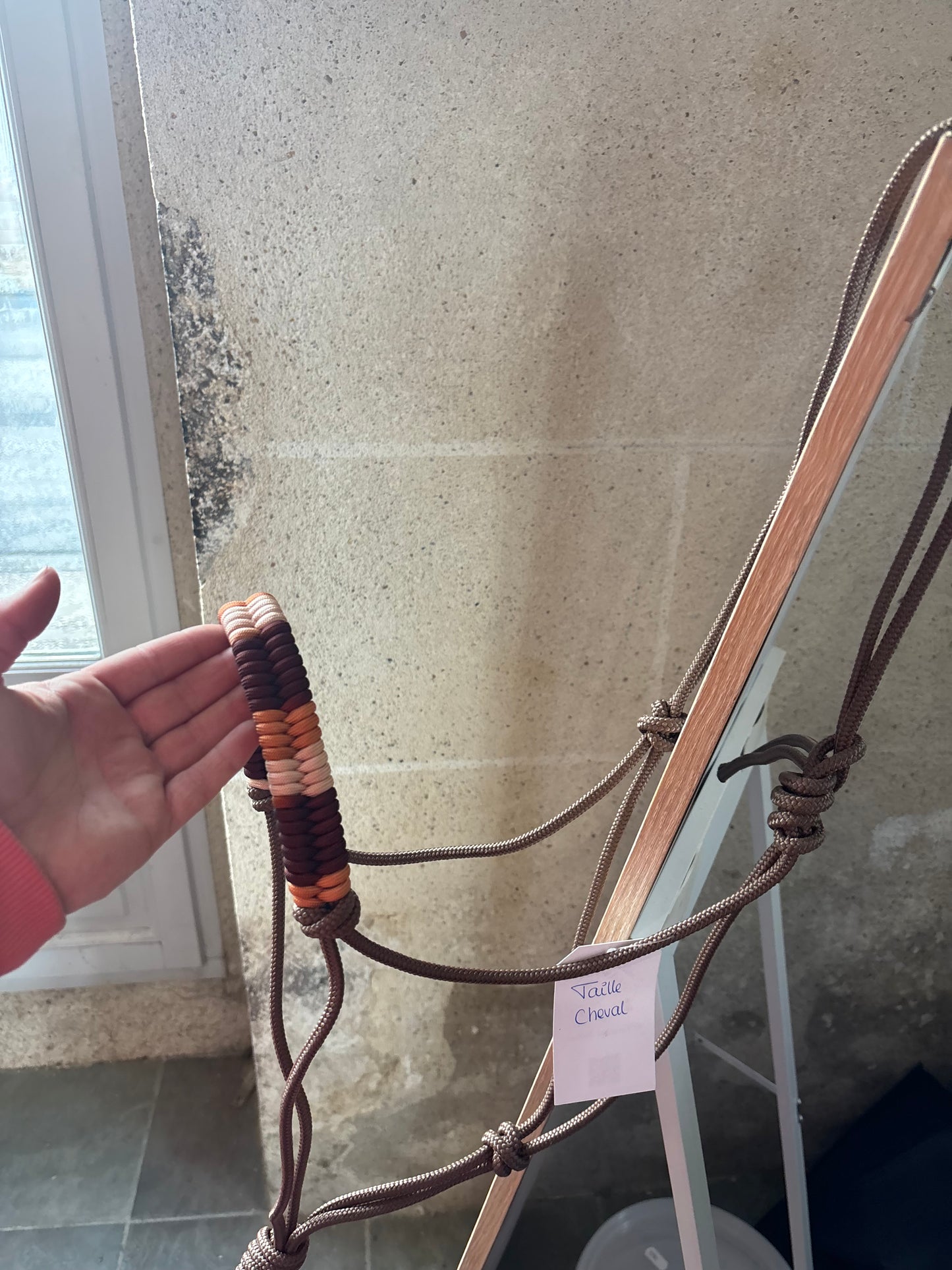 Licol Rainbow - O'Créations