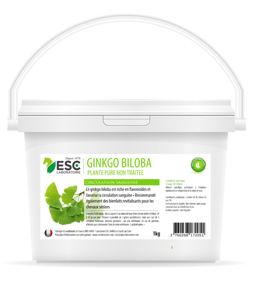 GINKGO BILOBA – Bien-être cheval et circulation sanguine - ESC Laboratoire