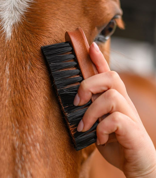 Brosse pour tête HardWood - Waldhausen