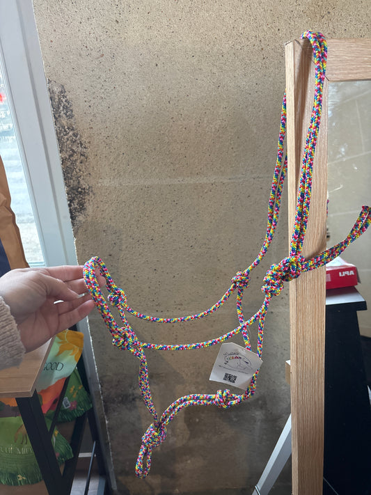 Licol Simple - O'Créations