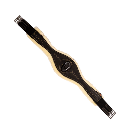 Sangle Anatomique Mouton - Kentucky