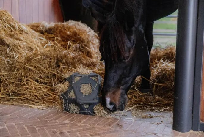 Boule/balle à foin - Kentucky