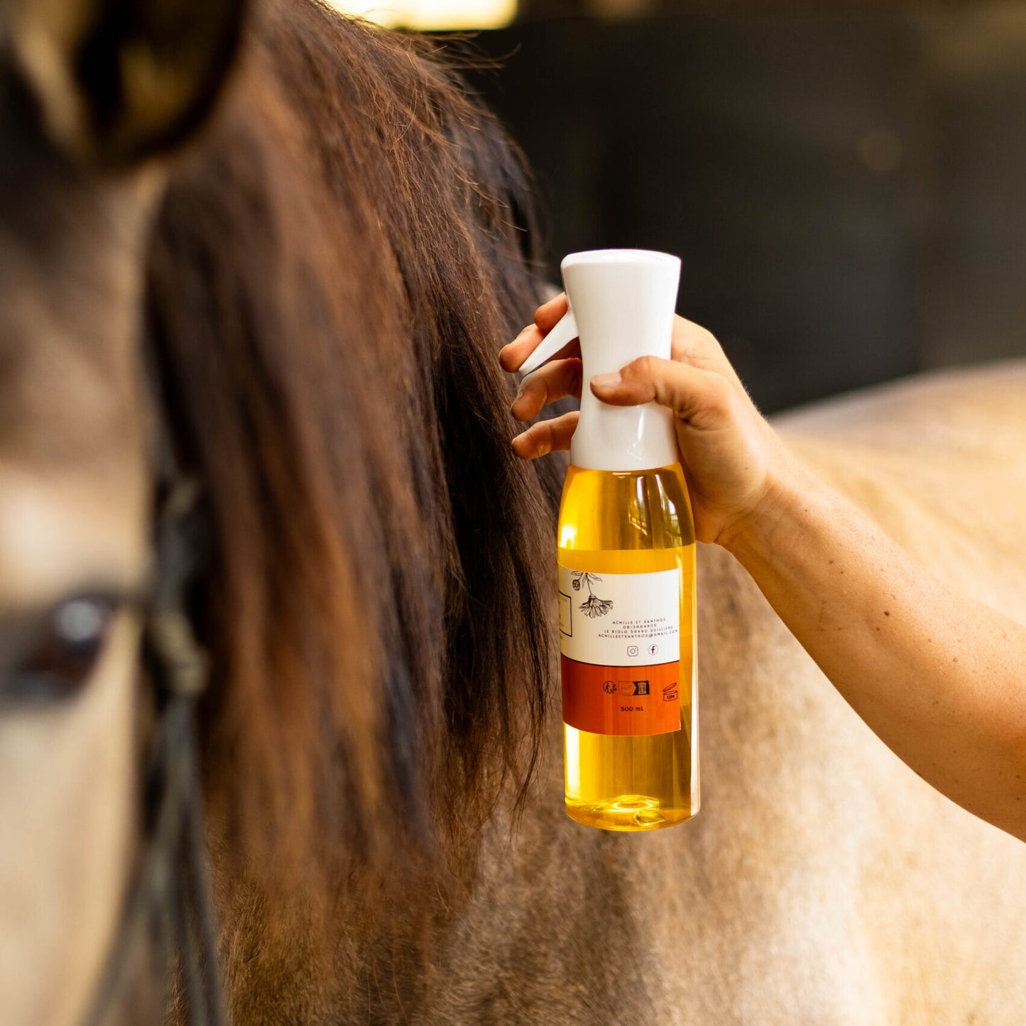 Démêlant - Achille & Xantos