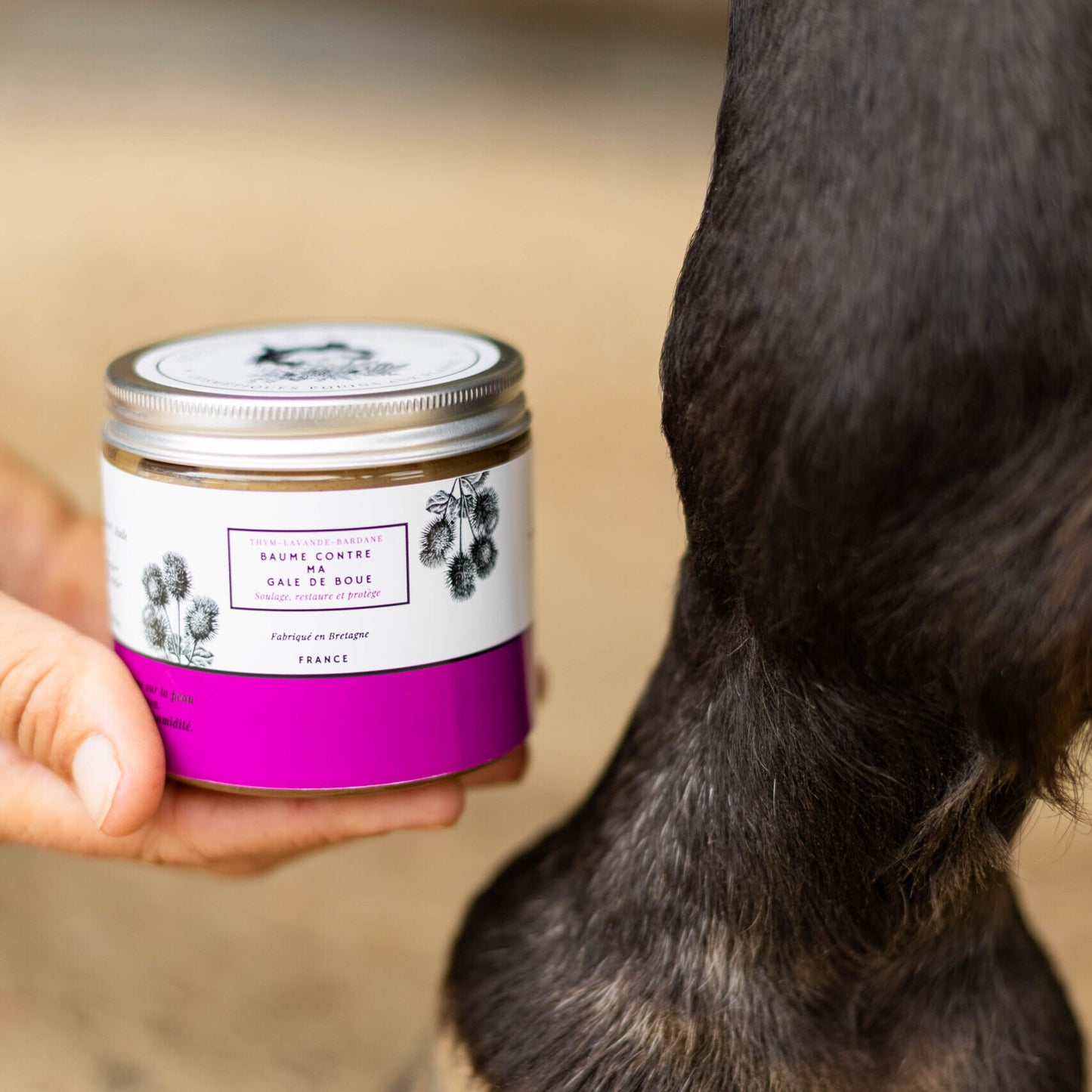 Baume Contre Ma Gale De Boue - Achille & Xantos