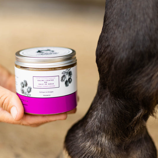 Baume Contre Ma Gale De Boue - Achille & Xantos