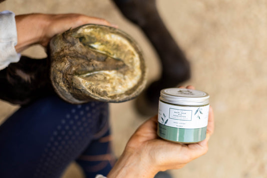 Baume Pour Mes Fourchettes - Achille & Xantos