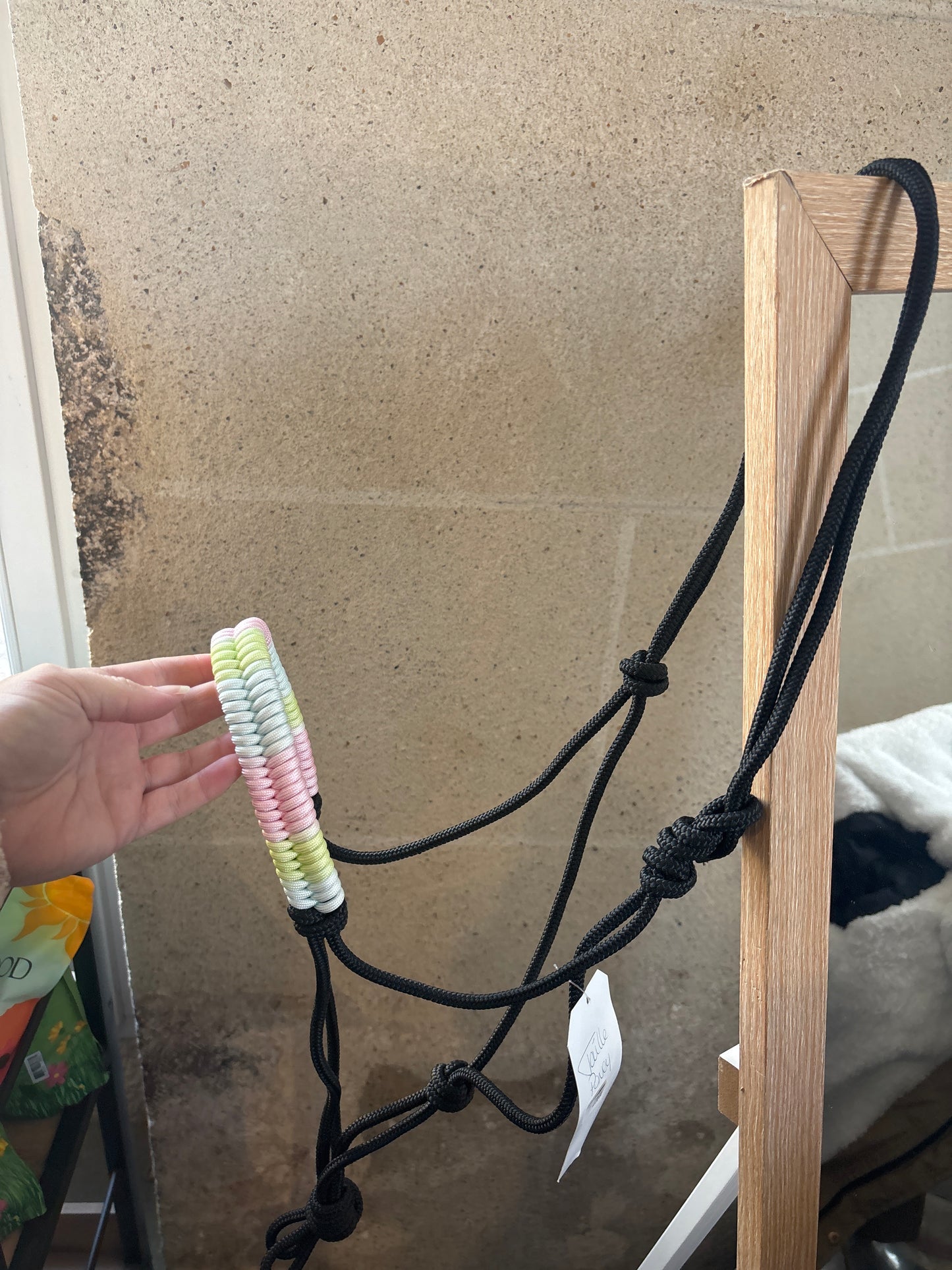 Licol Rainbow - O'Créations