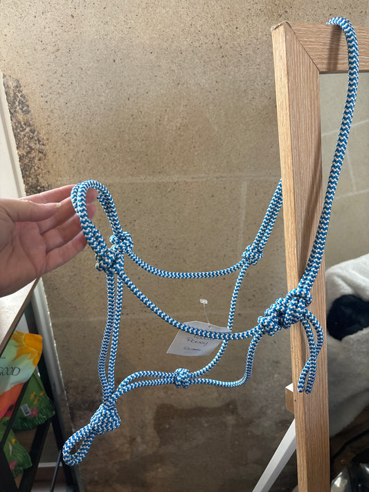 Licol Simple - O'Créations