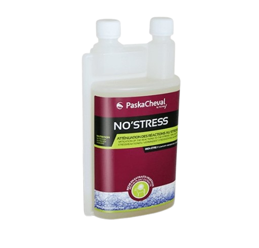 No Stress - Paskacheval