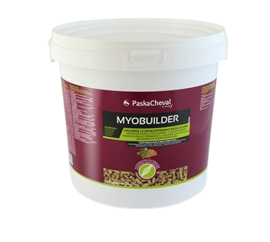 Myobuilder - Paskacheval