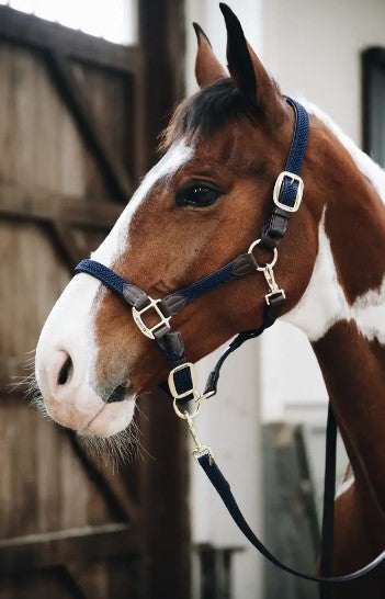 Longe Plaited Nylon - Kentucky