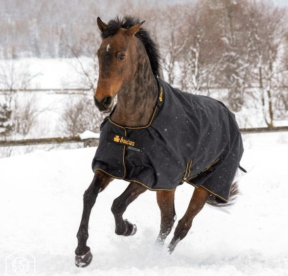 Irish Turnout - Bucas