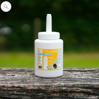 Natural'Hoof - Natural'Innov