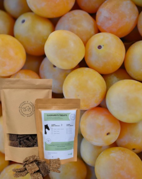 Friandises Orge Et Mirabelle - Gaspard's treats