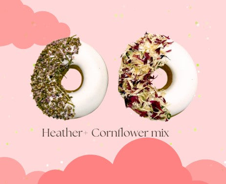 Donuts Lavande & Mélange de Bleuet - Candy Horse