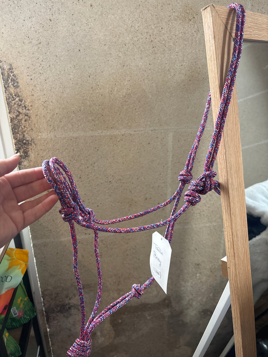 Licol Simple - O'Créations